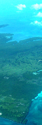 Pemba Island. Photo: FFI.