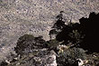 cederberg_7