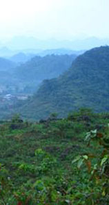 Karst Limestone landscape of Northern Vietnam. Photo: FFI.