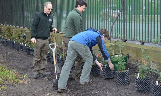 PlantingHeritageHedge_RBGE