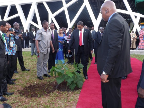 Tanzania_tree_planting