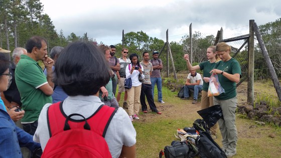Rare tree seed collection training participants in Mauritius. Credit; BGCI/K.Shaw