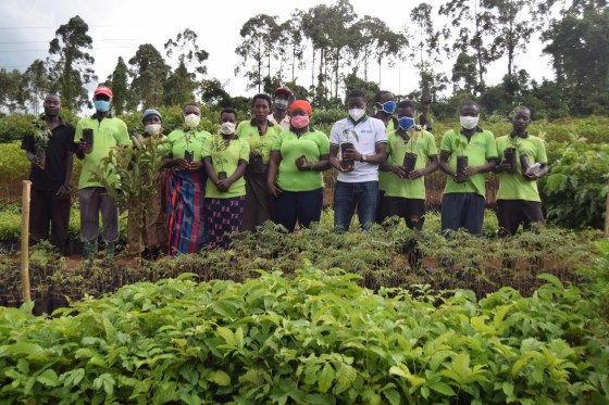 Communty nursery members in front of their propagated saplings wearing COVID-19 face masks and holding saplings, © Mubuke Godfrey