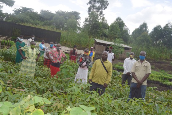Mbale community nursery workers in front of the diverse seedlings they have propagated, © Alislam Said Musa Mutegeki, Tooro Botanical Garden